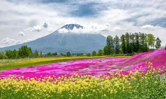 The Luxe Nomad offers a different way to experience Hokkaido