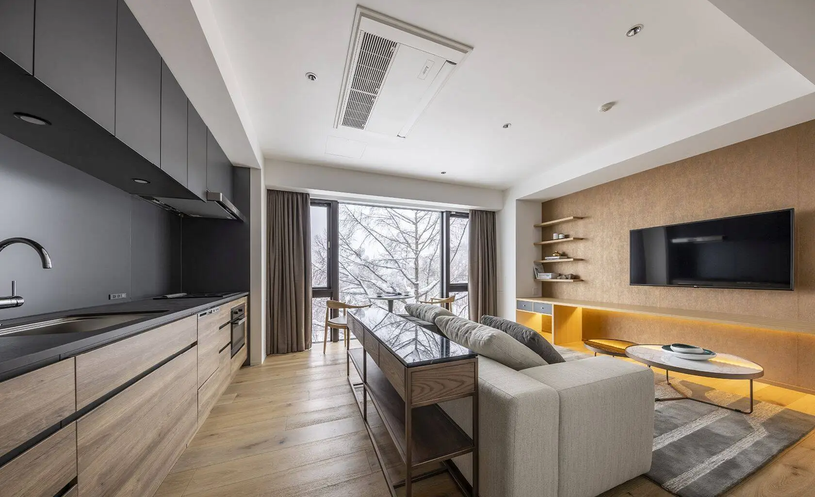 1 Bedroom Suite