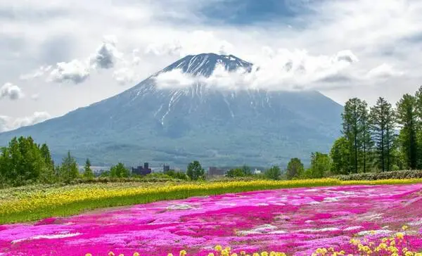 Hokkaido Summer Early Bird