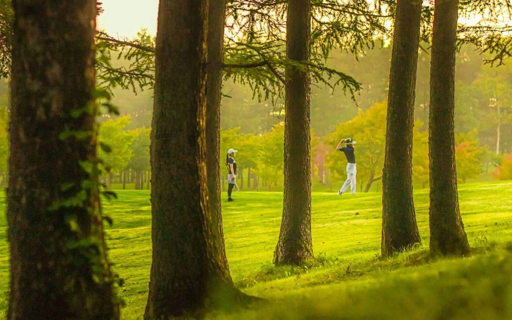 Stay & Play Golf Packages